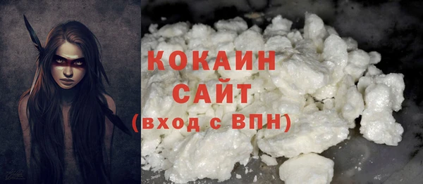 МДПВ Пересвет