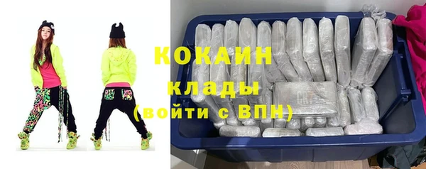 шишки Арсеньев