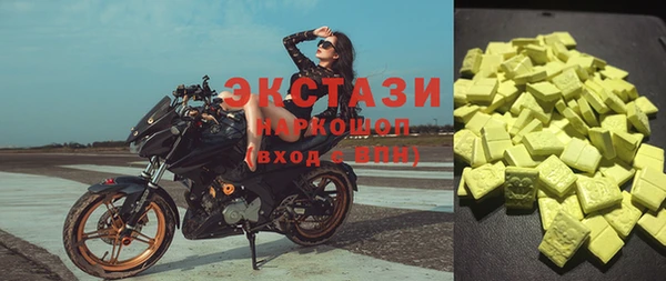 МДПВ Пересвет