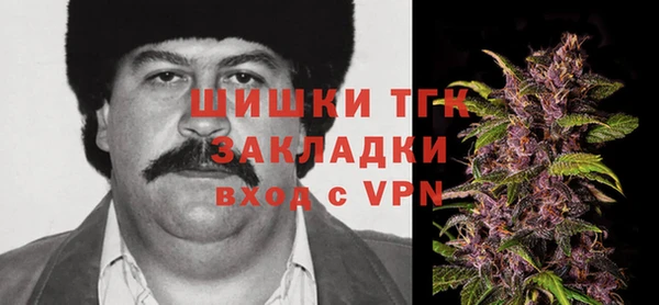МДПВ Пересвет