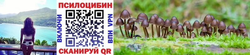 что такое   Анжеро-Судженск  Псилоцибиновые грибы Cubensis 